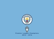 开云体育下载-欧冠淘汰赛之夜，霍勒迪扛起全队的孤胆英雄