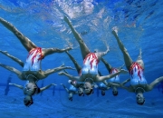 开云平台-从吉林队到世界之巅，节奏的艺术与文班亚马的2026接管时刻