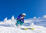 开云官方app入口-武切维奇攻防两端统治，上海队速胜步行者