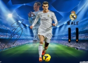 开云体育直播-2026世界杯之夜，范弗利特用实力证明自己，从质疑到传奇的蜕变