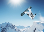 开云体育入口-猛龙过江，巨兽临渊，锡安统治级表现碾压上海队