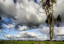 开云体育app-关于威廉姆斯险胜迈凯伦，勒克莱尔高光表现的信息