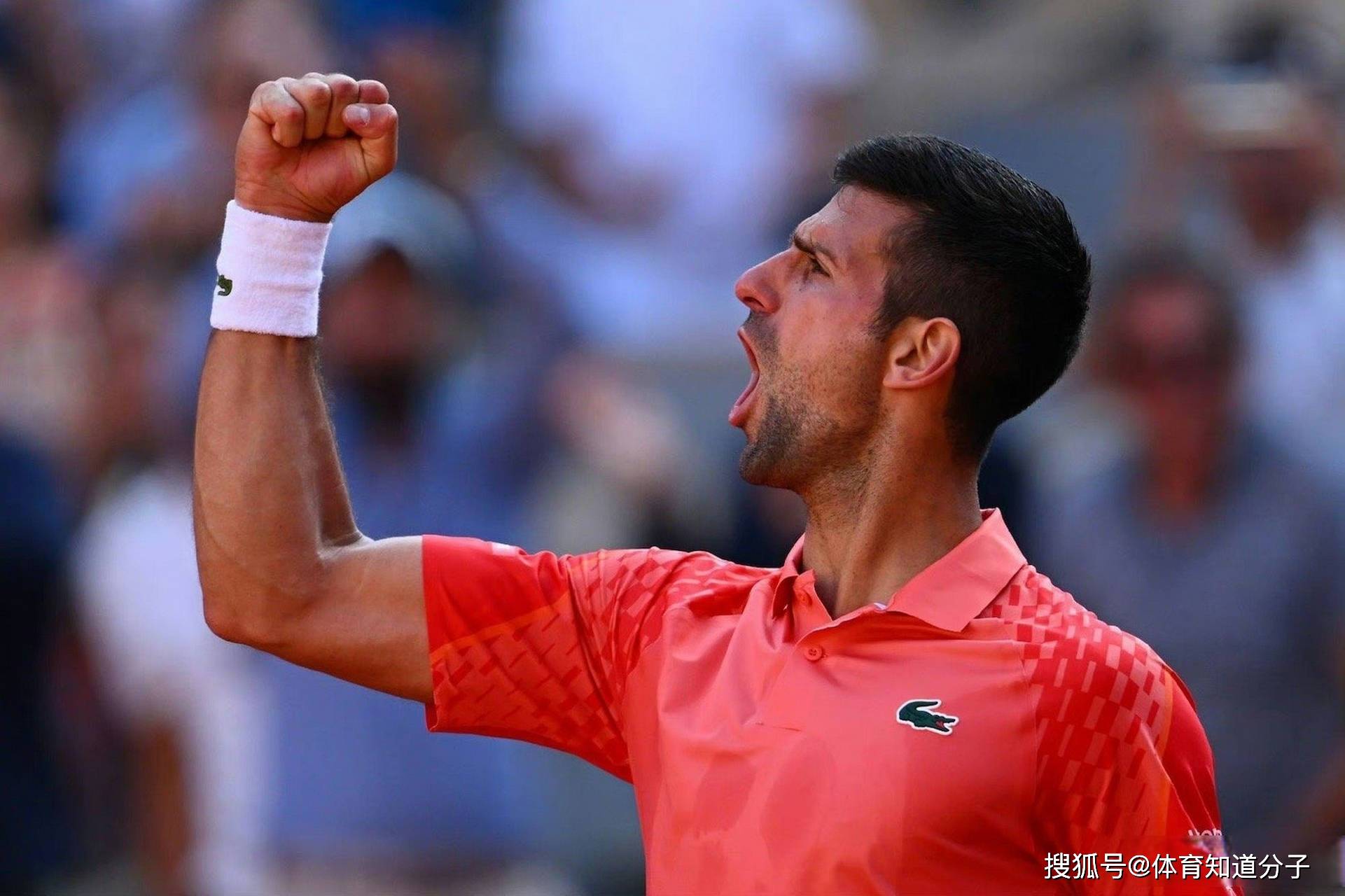 关于世界网球队绝地反击日本网球队，德约科维奇关键制胜的信息