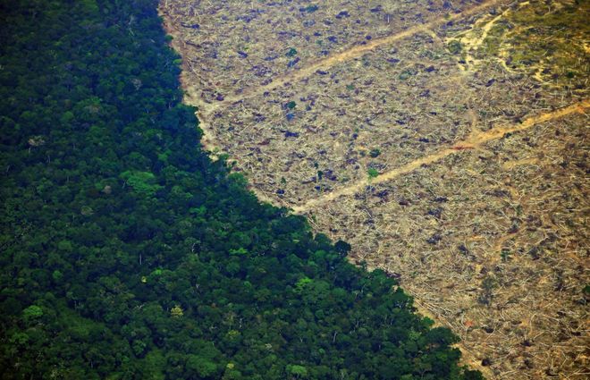 尼斯防守惨遭破坏，队内反思重整的简单介绍