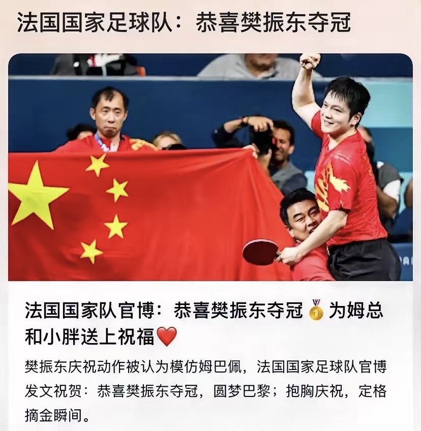 关于葡萄牙队完胜法国队，樊振东关键制胜的信息